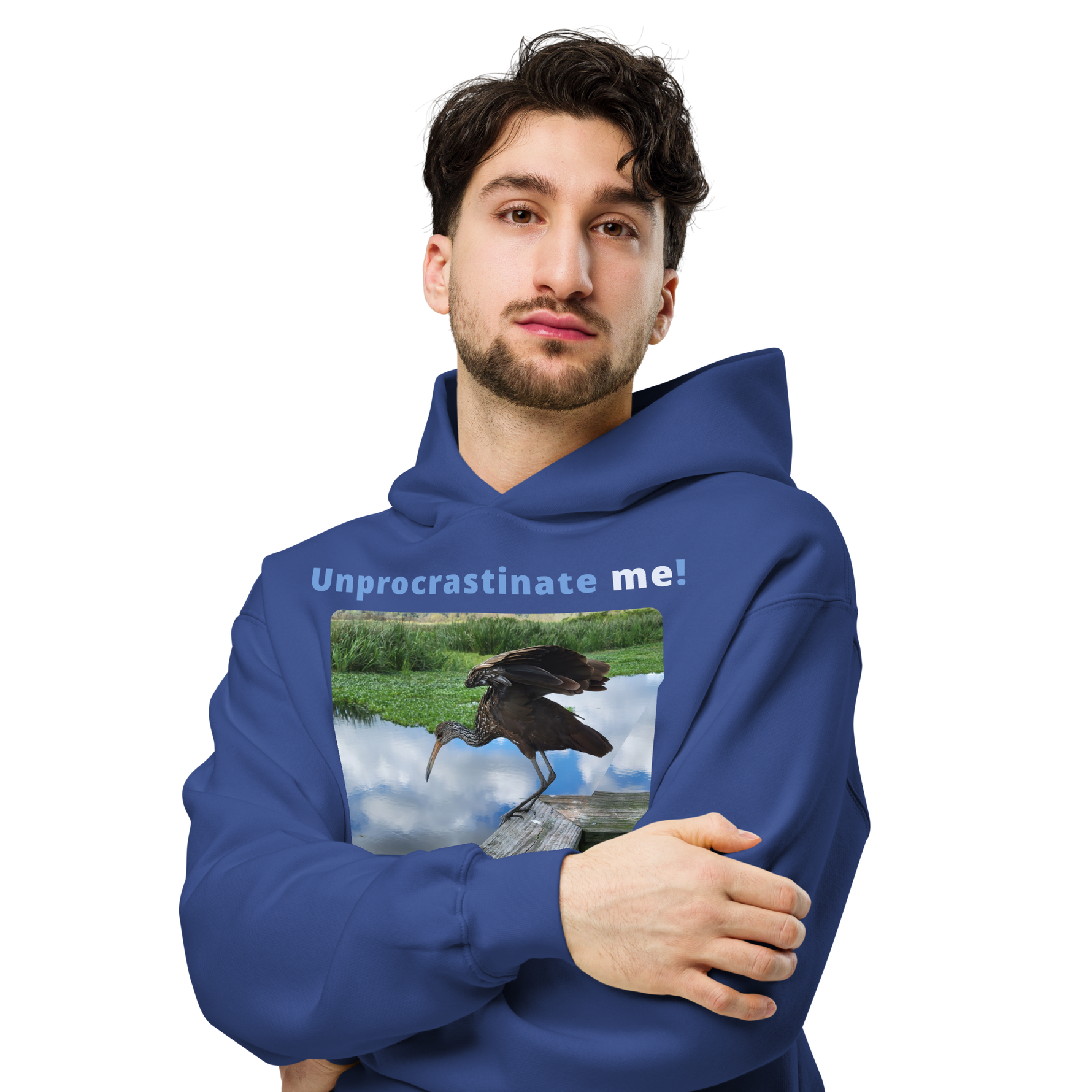 Unisex Oversized Procrastination Hoodie - Unprocrastinate me! - limpkin foraging 