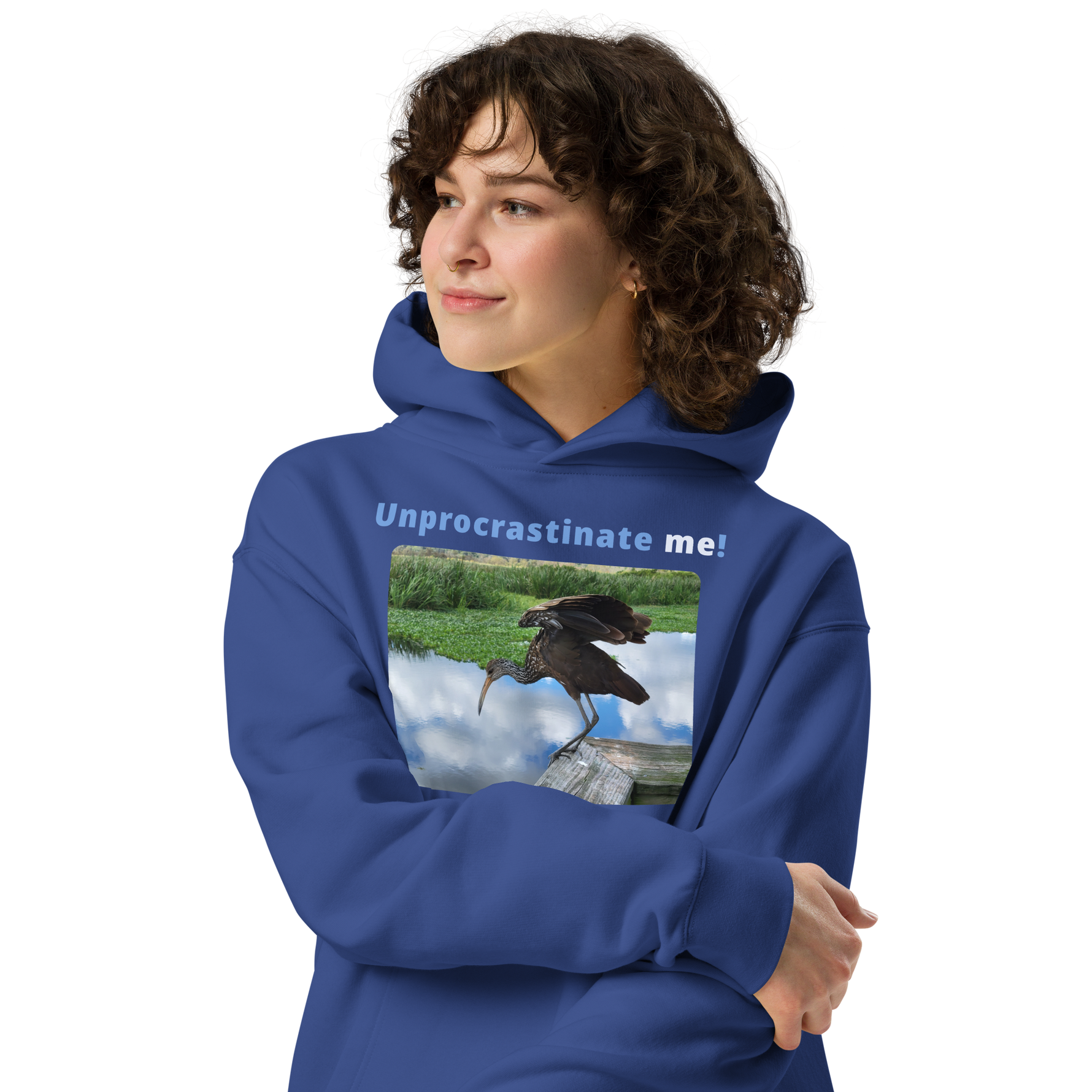 Unisex Oversized Procrastination Hoodie - Unprocrastinate me! - limpkin foraging 