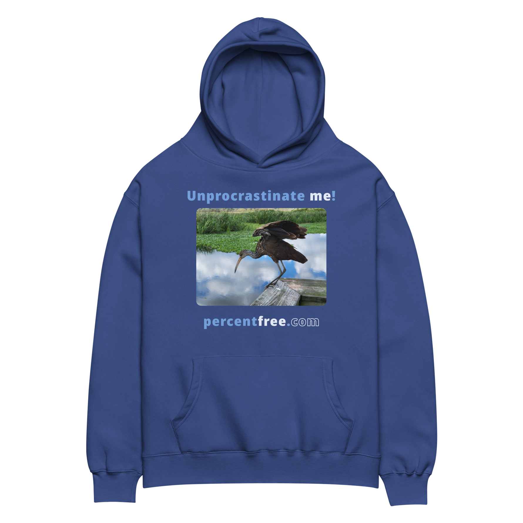 Unisex Oversized Procrastination Hoodie - Unprocrastinate me! - limpkin foraging 