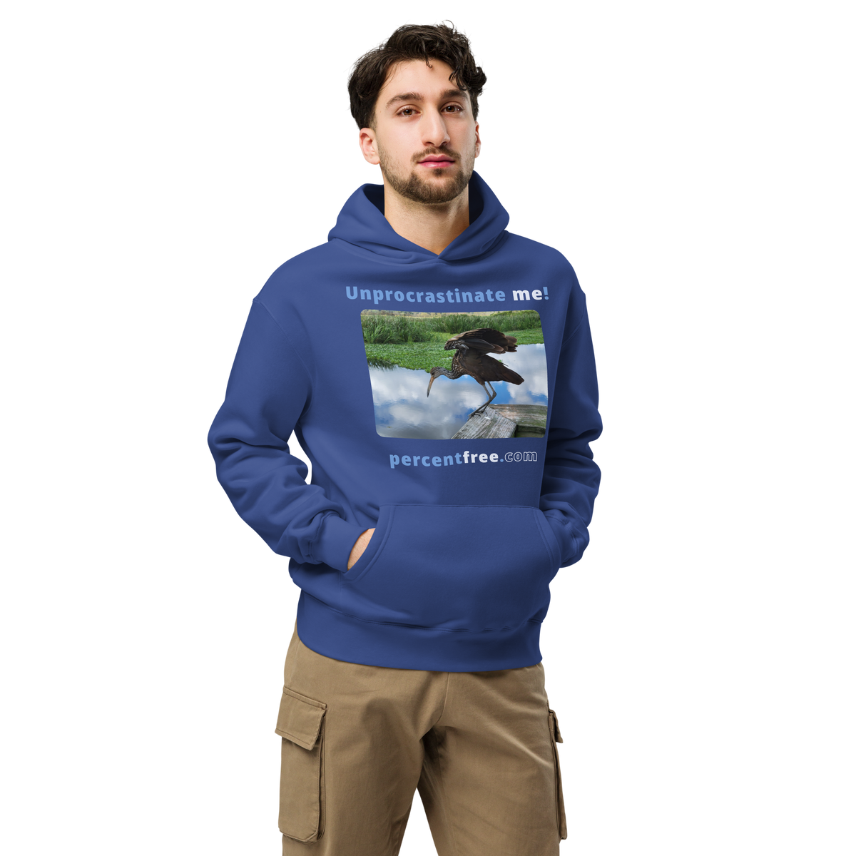 Unisex Oversized Procrastination Hoodie - Unprocrastinate me! - limpkin foraging 
