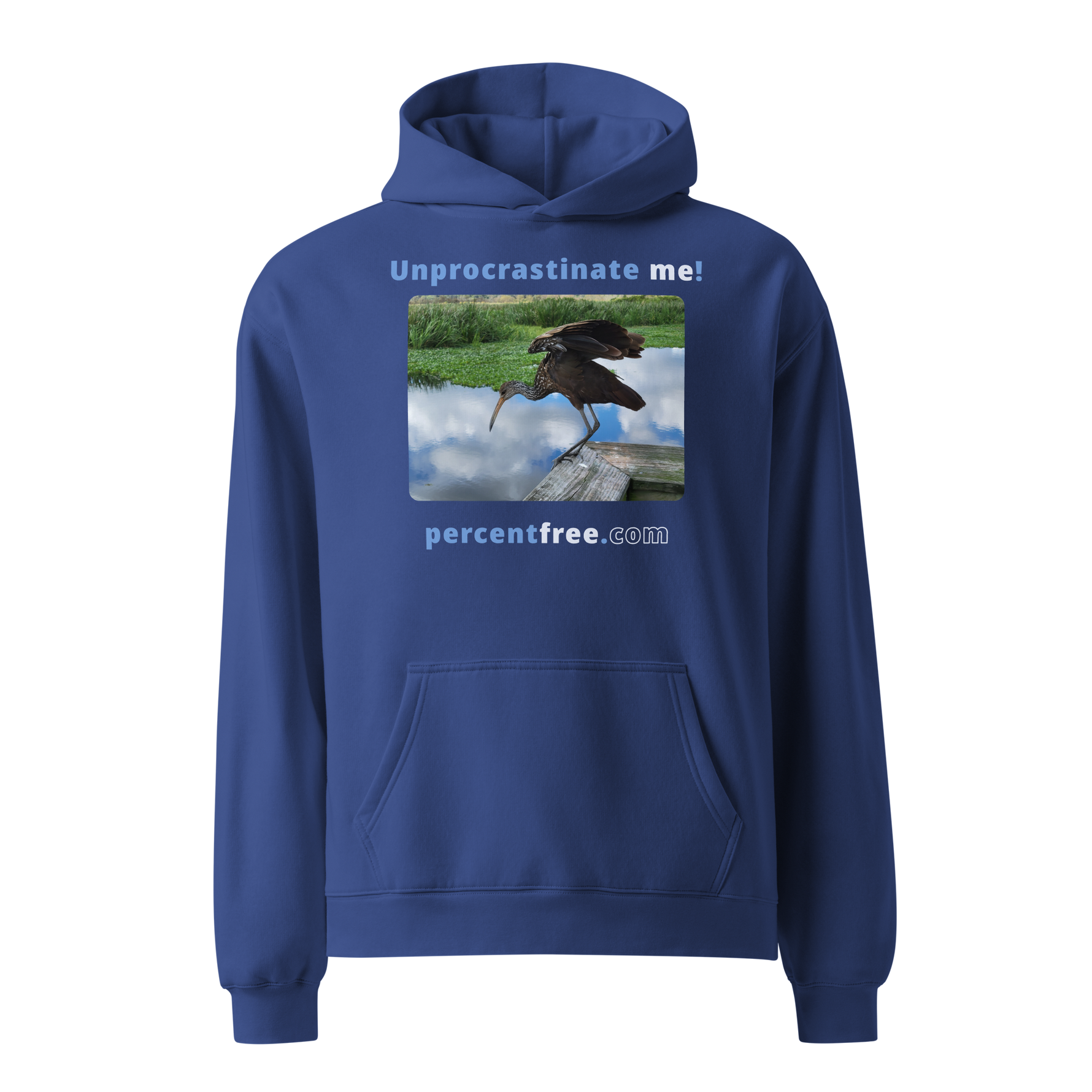 Unisex Oversized Procrastination Hoodie - Unprocrastinate me! - limpkin foraging 