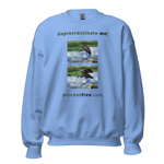 Unisex Procrastination Sweatshirt - Unprocrastinate me! - limpkin preening - limpkin foraging 