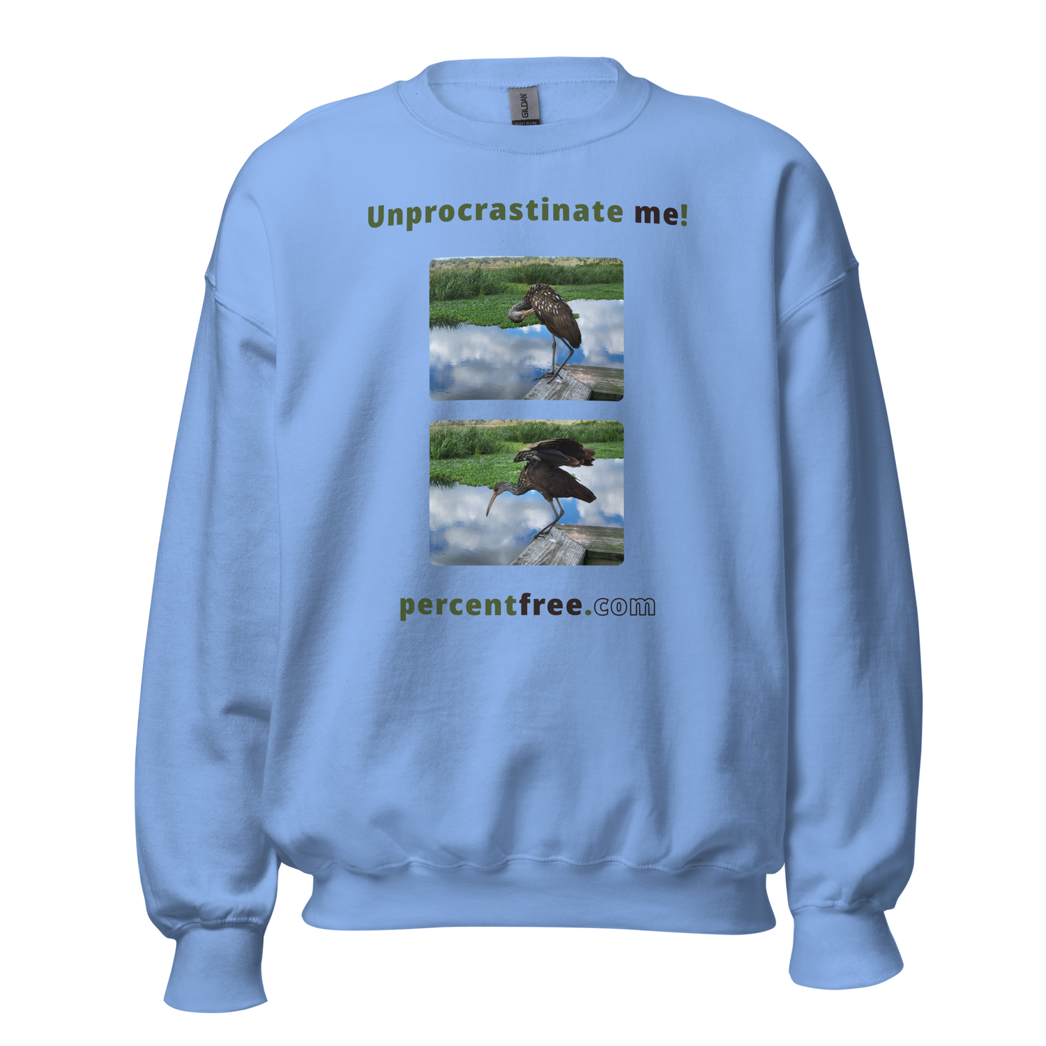 Unisex Procrastination Sweatshirt - Unprocrastinate me! - limpkin preening - limpkin foraging 
