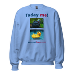 Unisex Today Sweatshirt - Today me! - cassowary - rubber ducky pool float 