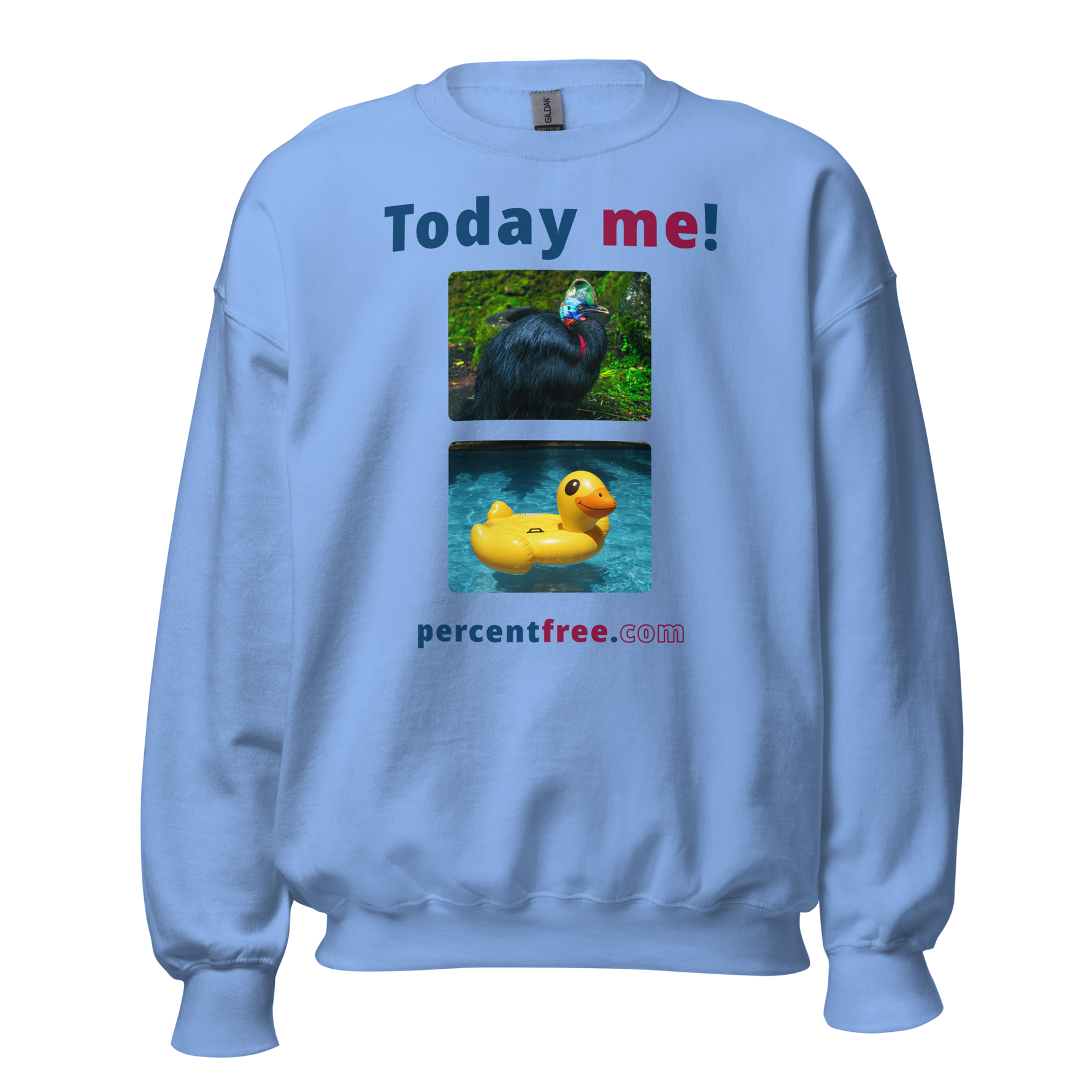 Unisex Today Sweatshirt - Today me! - cassowary - rubber ducky pool float 