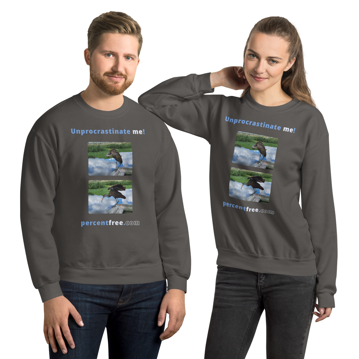 Unisex Procrastination Sweatshirt - Unprocrastinate me! - limpkin preening - limpkin foraging 