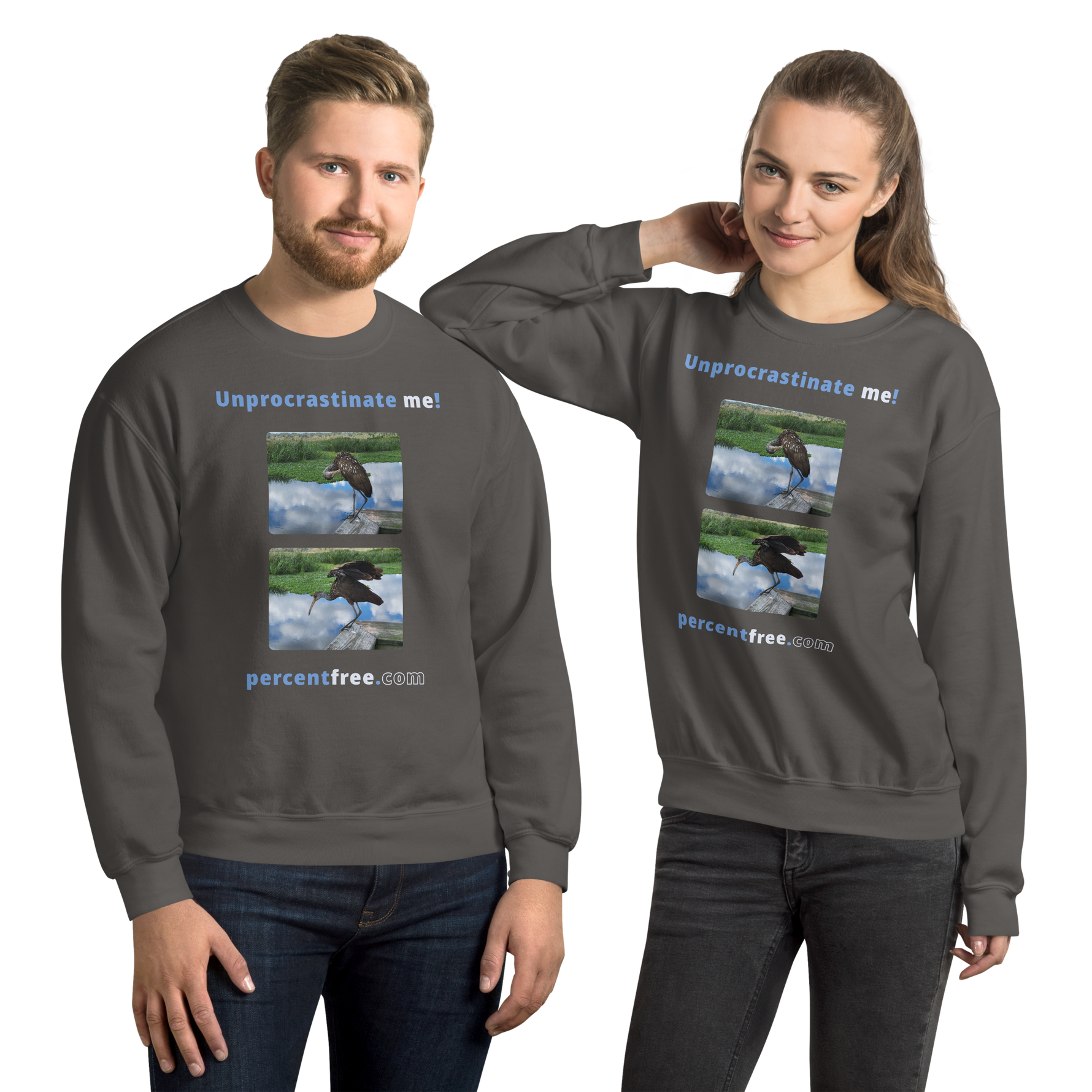 Unisex Procrastination Sweatshirt - Unprocrastinate me! - limpkin preening - limpkin foraging 