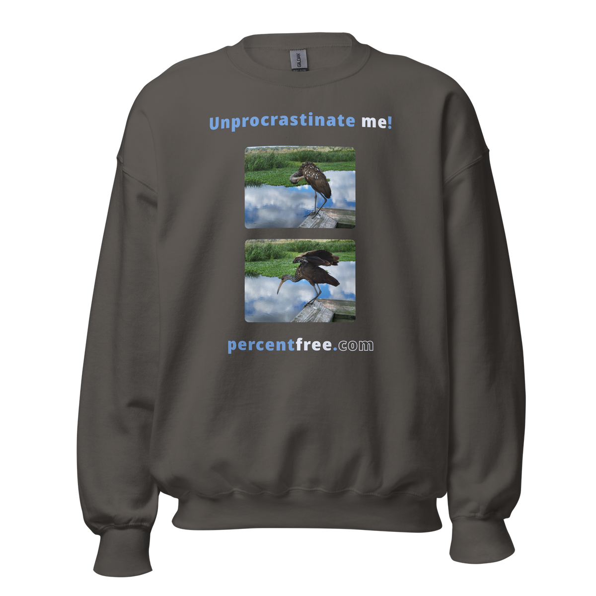 Unisex Procrastination Sweatshirt - Unprocrastinate me! - limpkin preening - limpkin foraging 