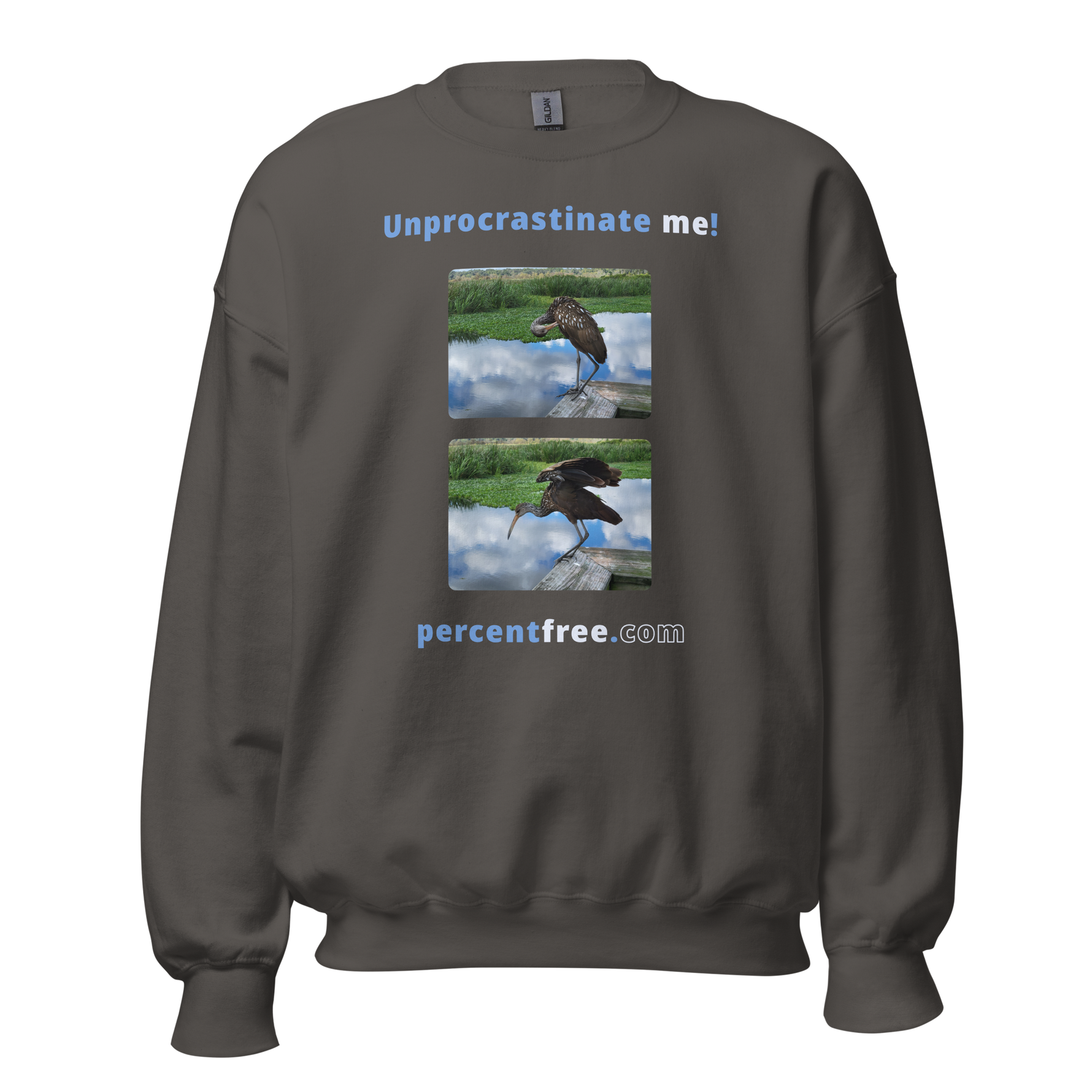 Unisex Procrastination Sweatshirt - Unprocrastinate me! - limpkin preening - limpkin foraging 