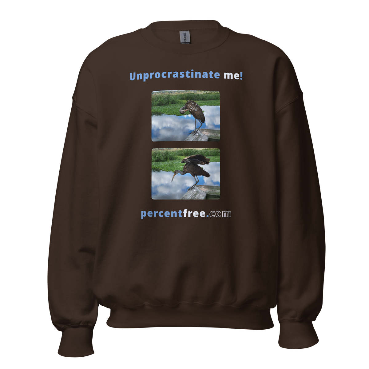 Unisex Procrastination Sweatshirt - Unprocrastinate me! - limpkin preening - limpkin foraging 