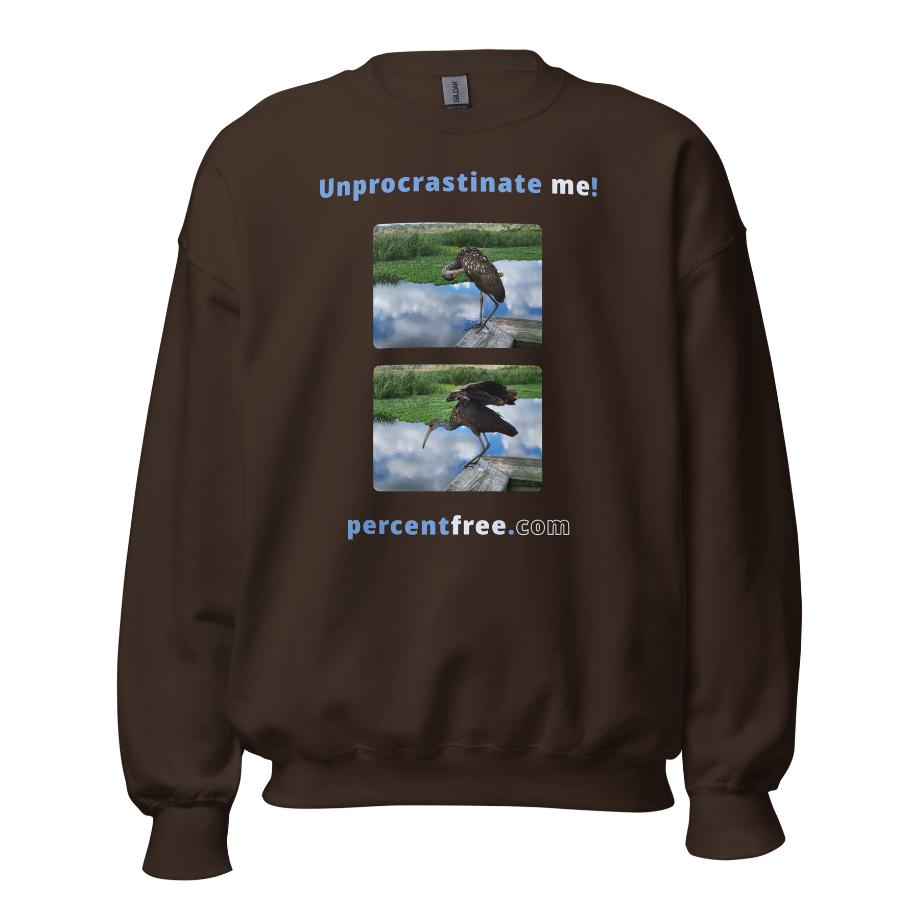 Unisex Procrastination Sweatshirt - Unprocrastinate me! - limpkin preening - limpkin foraging 