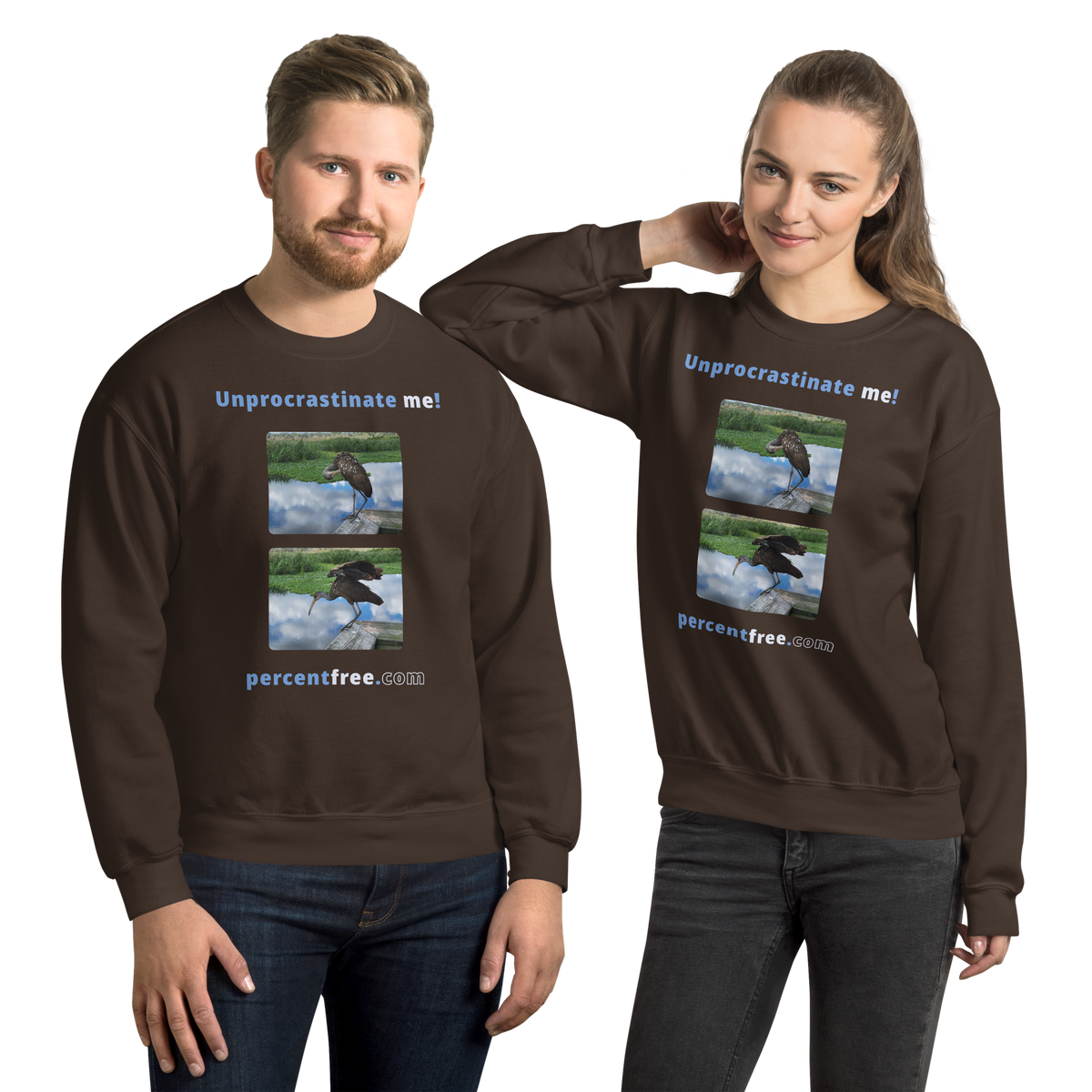 Unisex Procrastination Sweatshirt - Unprocrastinate me! - limpkin preening - limpkin foraging 