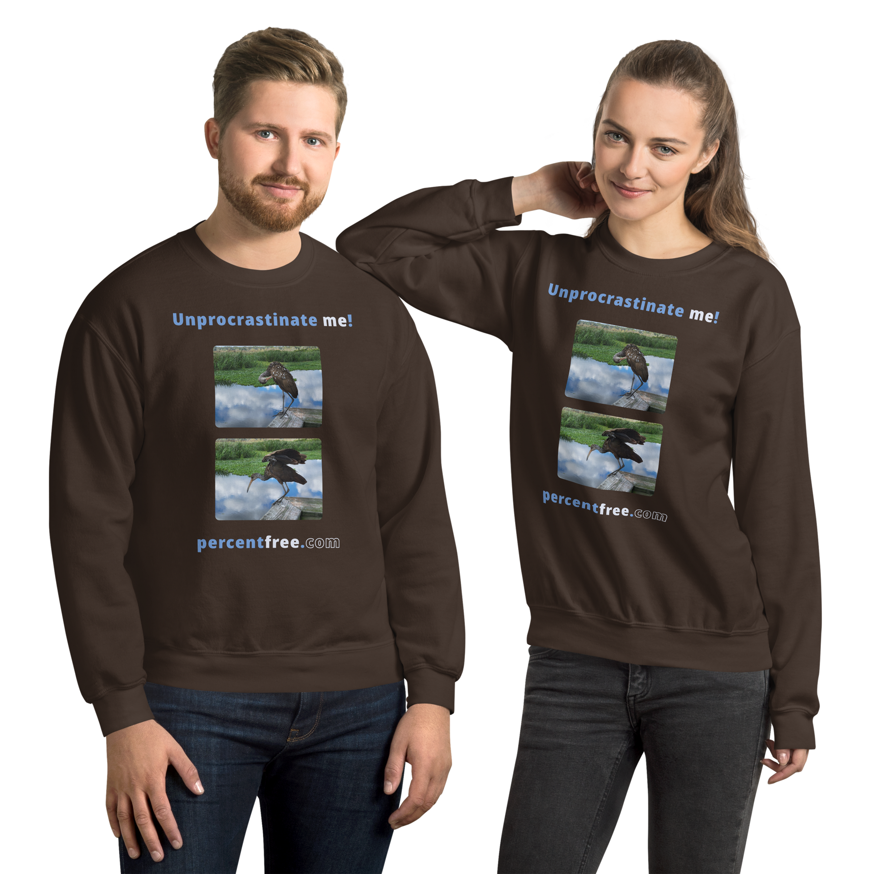Unisex Procrastination Sweatshirt - Unprocrastinate me! - limpkin preening - limpkin foraging 