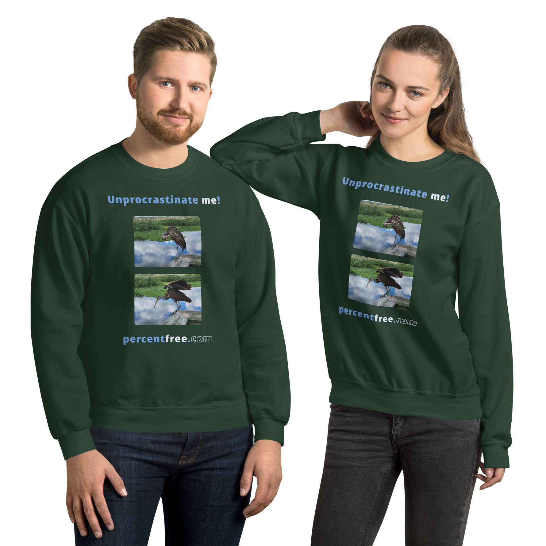 Unisex Procrastination Sweatshirt - Unprocrastinate me! - limpkin preening - limpkin foraging 