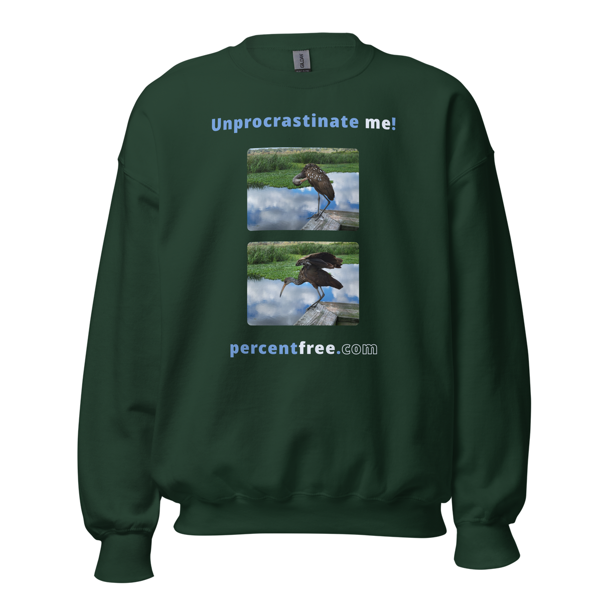 Unisex Procrastination Sweatshirt - Unprocrastinate me! - limpkin preening - limpkin foraging 