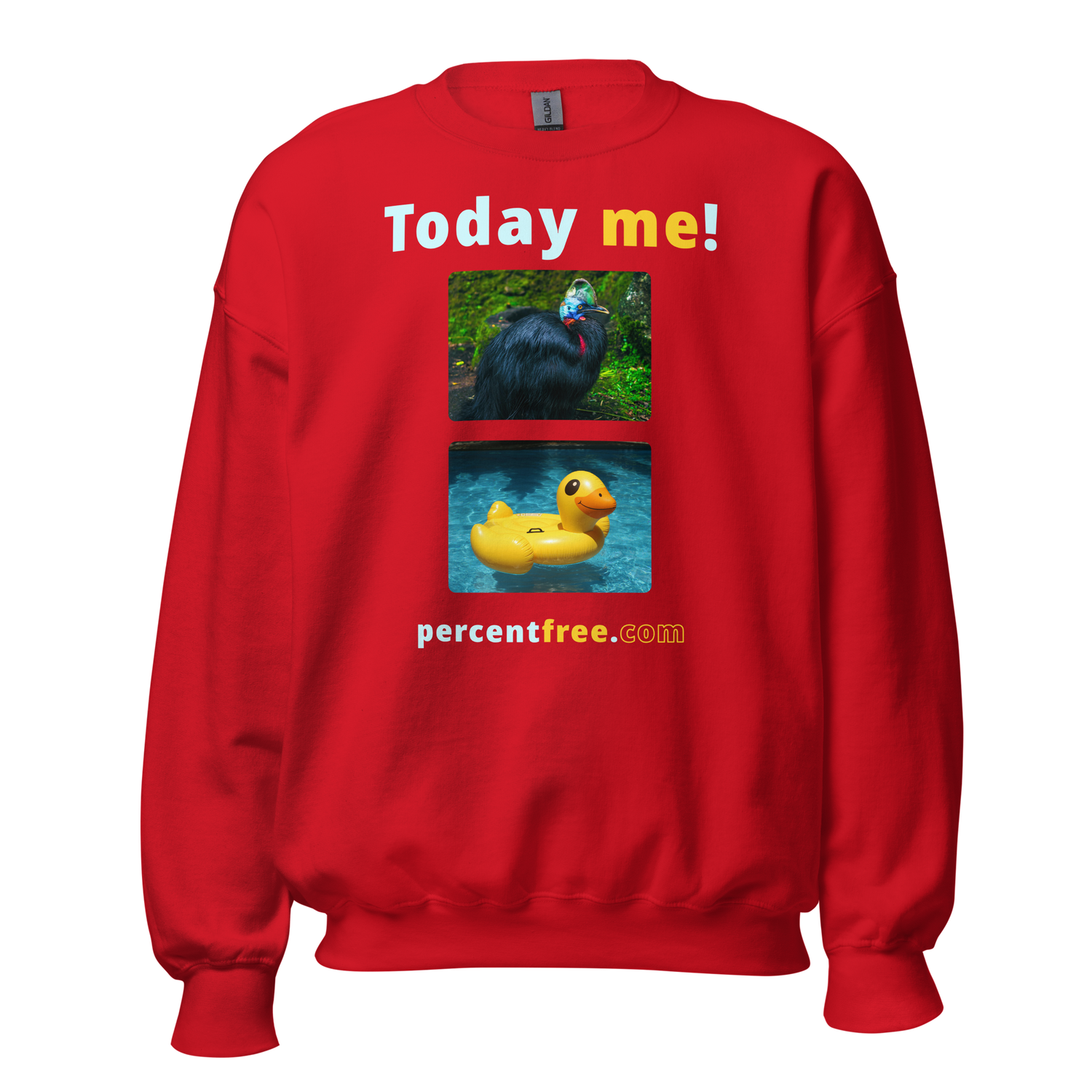 Unisex Today Sweatshirt - Today me! - cassowary - rubber ducky pool float 