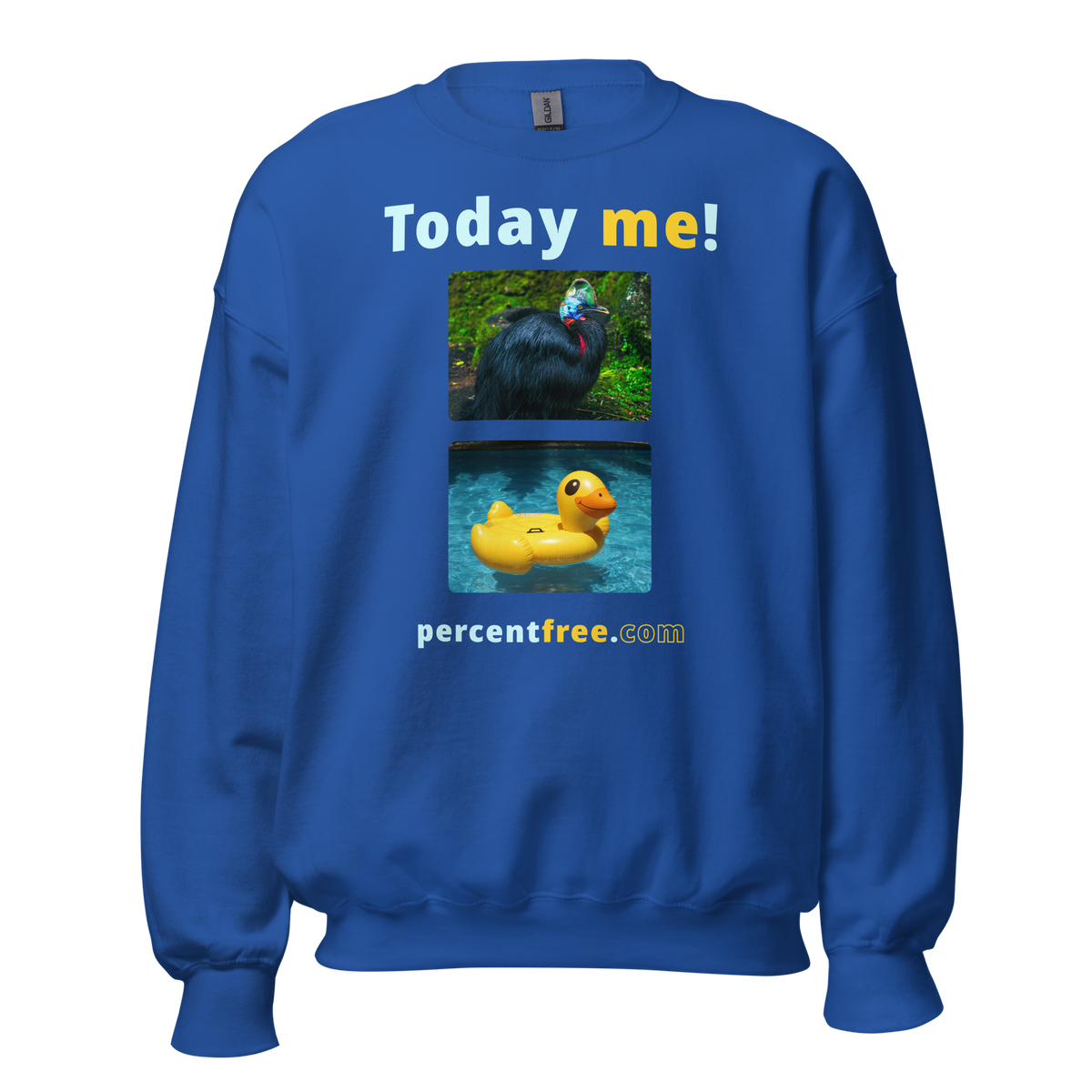 Unisex Today Sweatshirt - Today me! - cassowary - rubber ducky pool float 