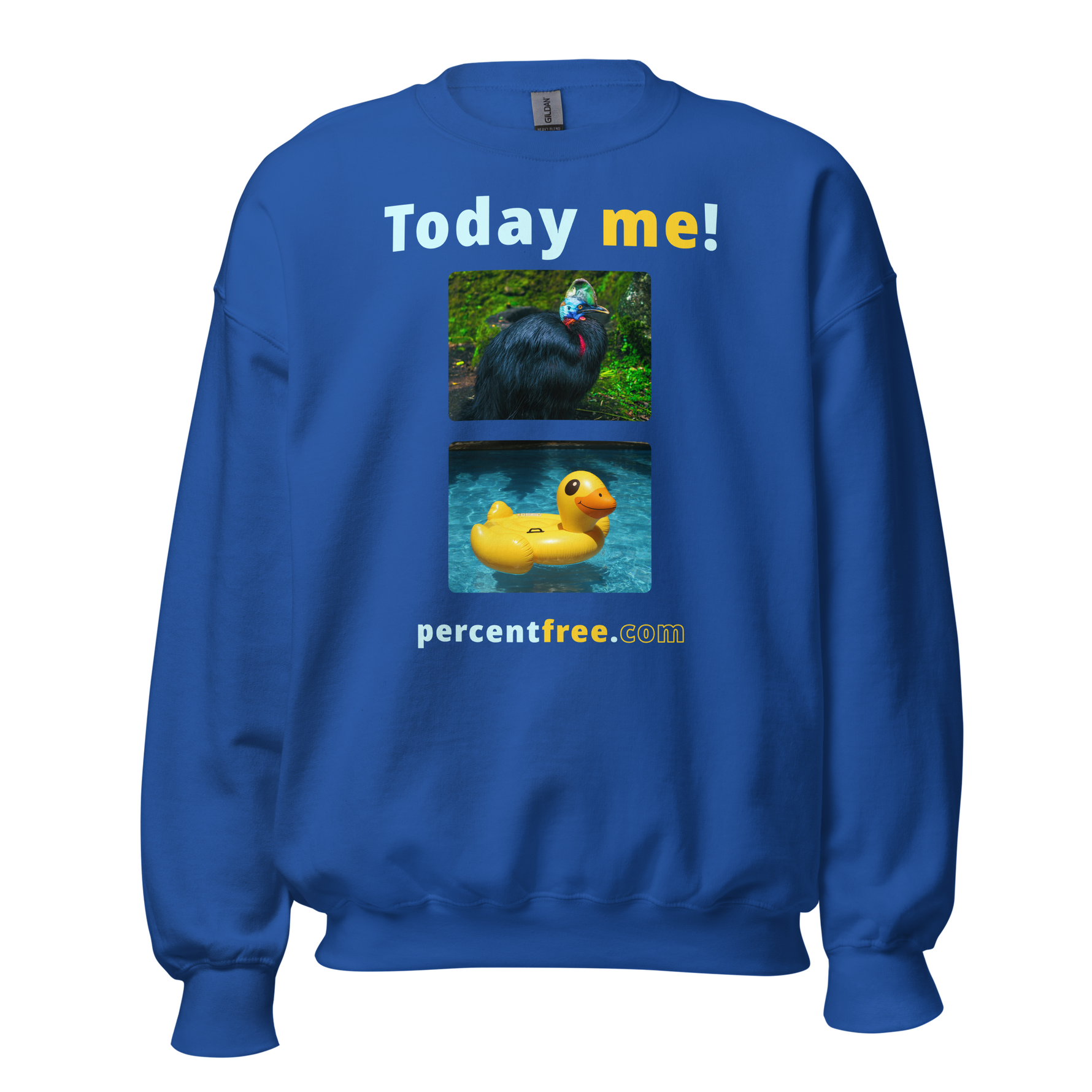 Unisex Today Sweatshirt - Today me! - cassowary - rubber ducky pool float 