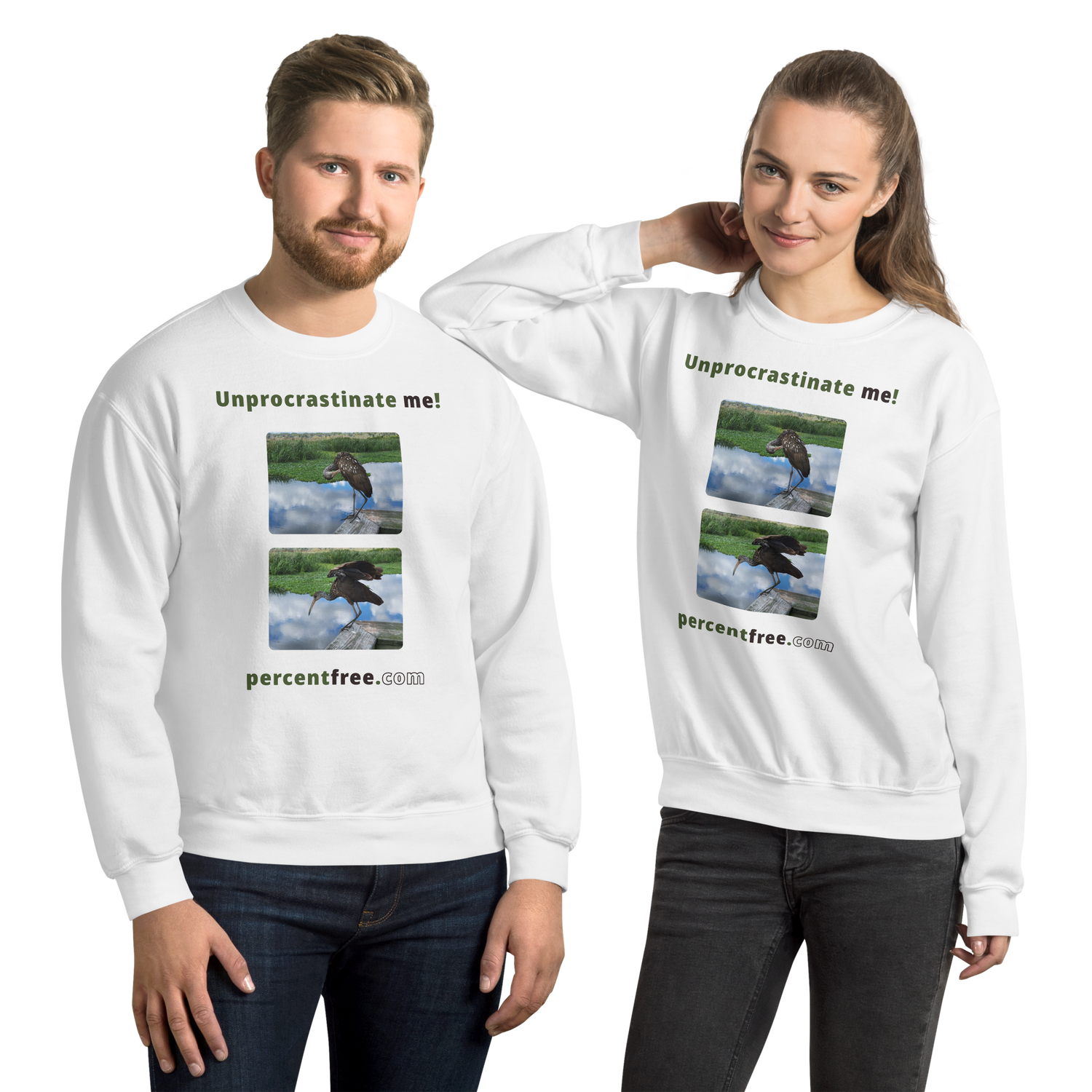Unisex Procrastination Sweatshirt - Unprocrastinate me! - limpkin preening - limpkin foraging 