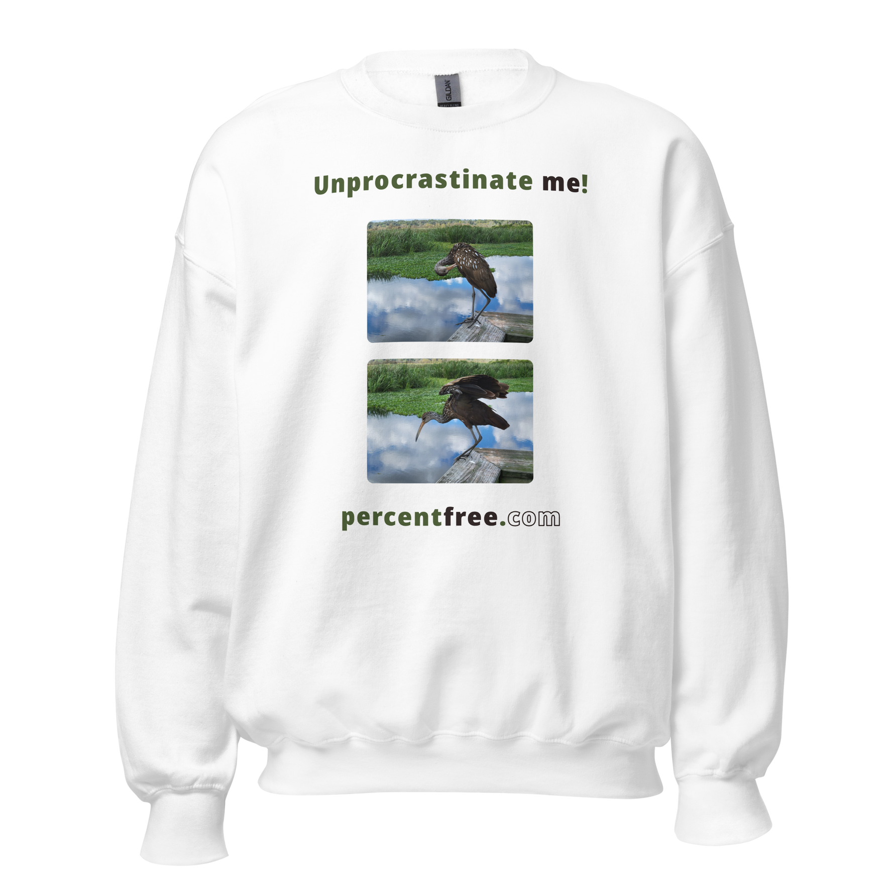 Unisex Procrastination Sweatshirt - Unprocrastinate me! - limpkin preening - limpkin foraging #white