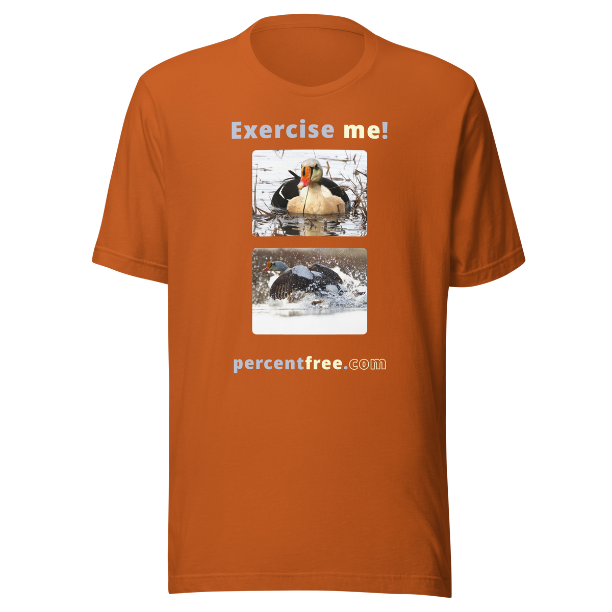 Exercise me! - king eider floating - king eider taking off - unisex freedom T-shirt 