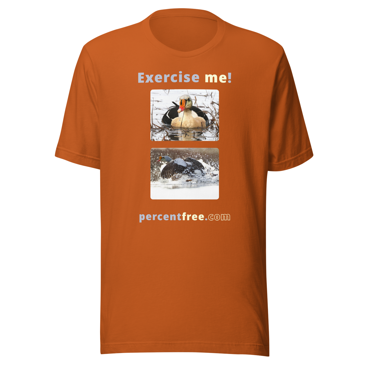 Exercise me! - king eider floating - king eider taking off - unisex freedom T-shirt 