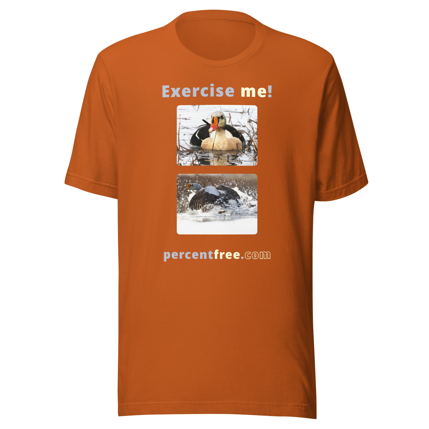 Exercise me! - king eider floating - king eider taking off - unisex freedom T-shirt 