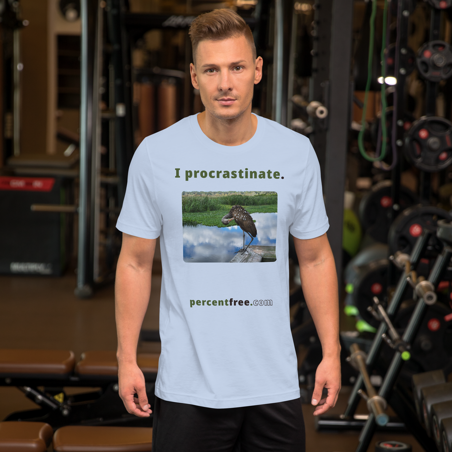 Unisex Freedom T-shirt - I procrastinate. - limpkin preening - 