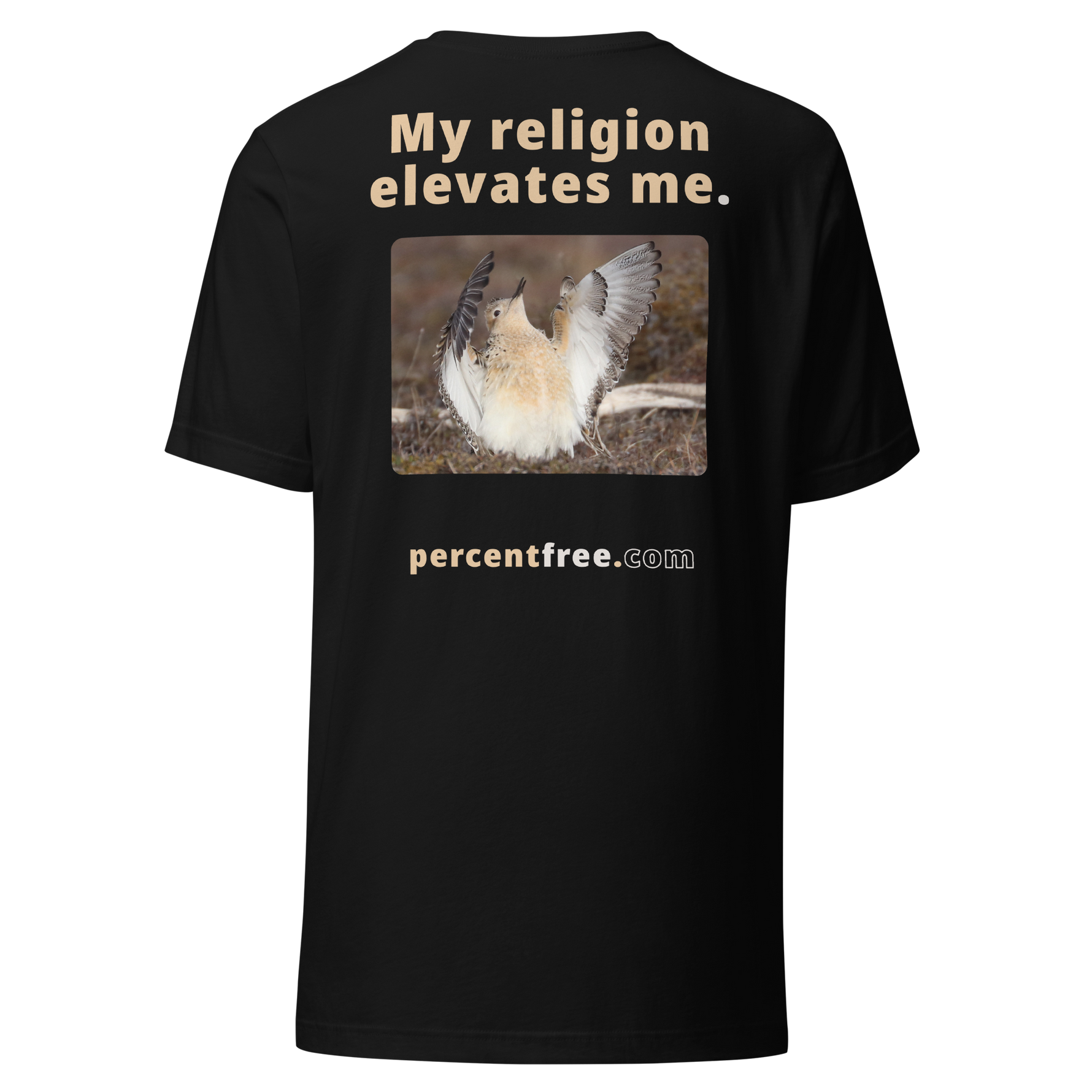 Unisex Front-and-Back Faith T-shirt - My religion elevates me. - buff-breasted sandpiper 