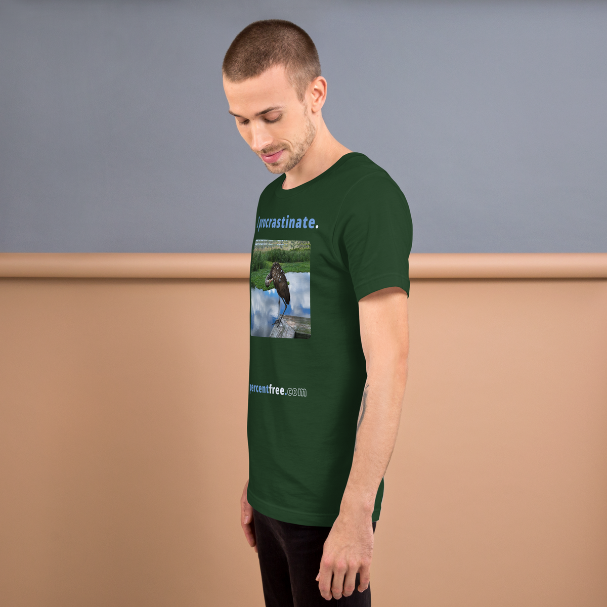 Unisex Freedom T-shirt - I procrastinate. - limpkin preening - 