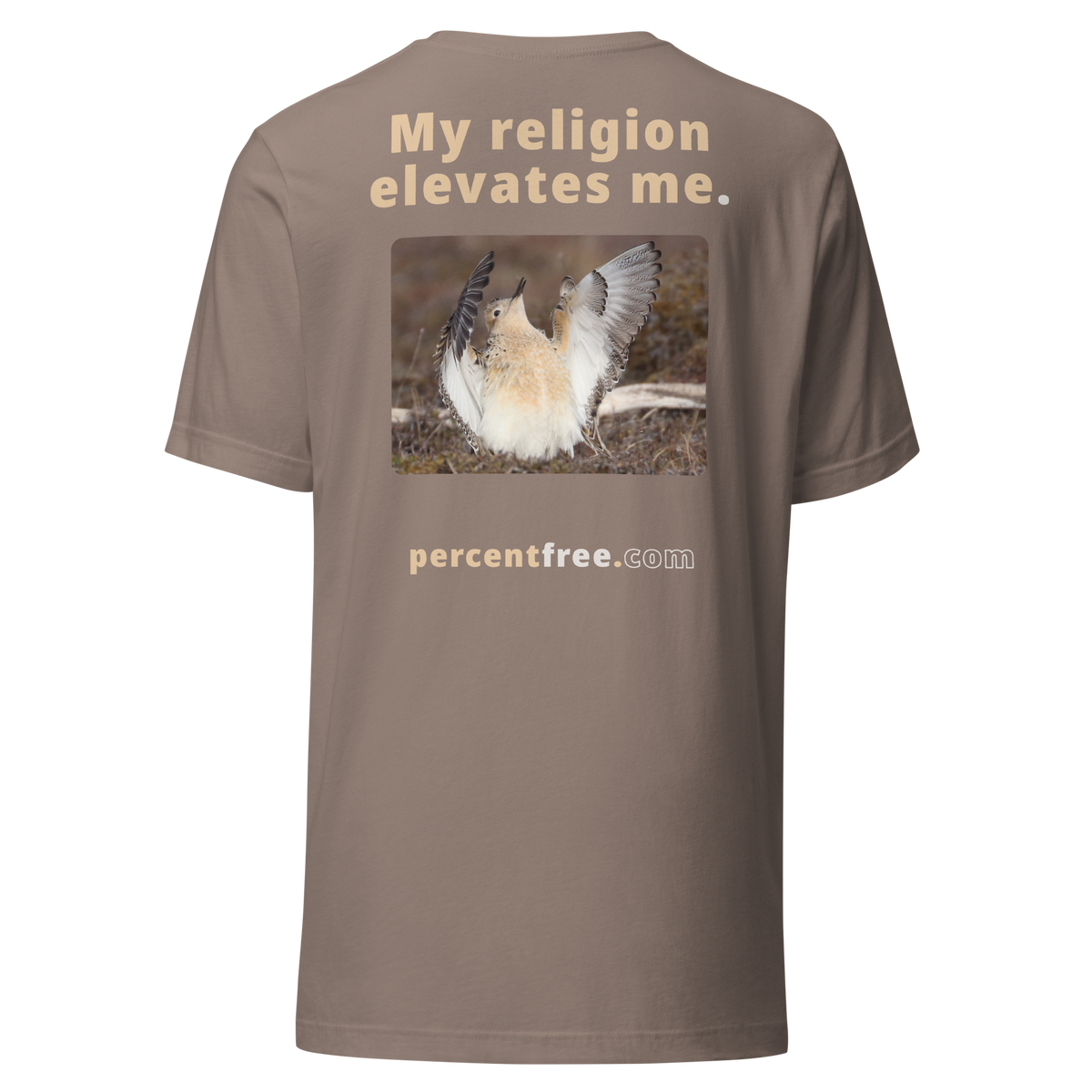 Unisex Front-and-Back Faith T-shirt - My religion elevates me. - buff-breasted sandpiper 