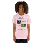 The government is in debt. -hippopotamus - Underspend me! - Anna's hummingbird - unisex freedom T-shirt 