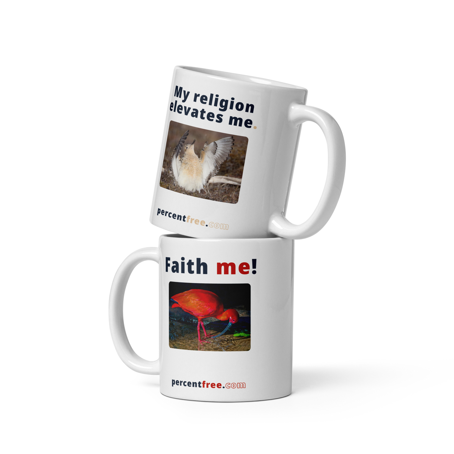 Faith Coffee Mug - Faith me! - scarlet ibis - My religion elevates me. - buff-breasted sandpiper 