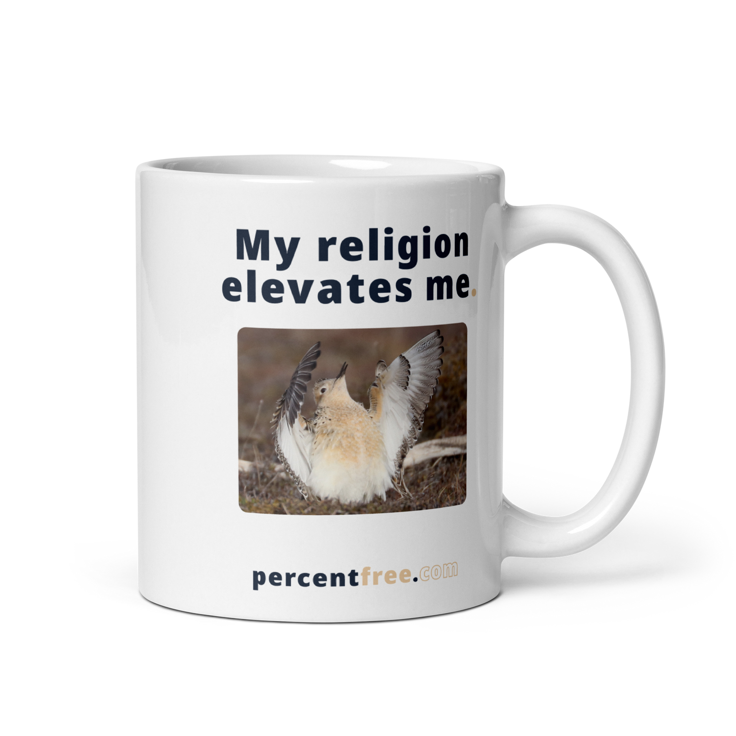 Faith Coffee Mug - My religion elevates me. - buff-breasted sandpiper 